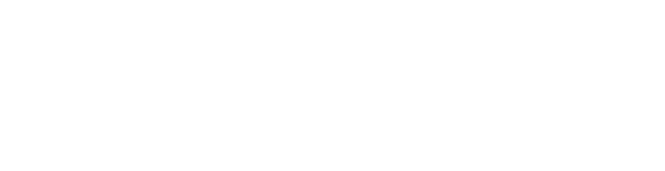 Main Logo